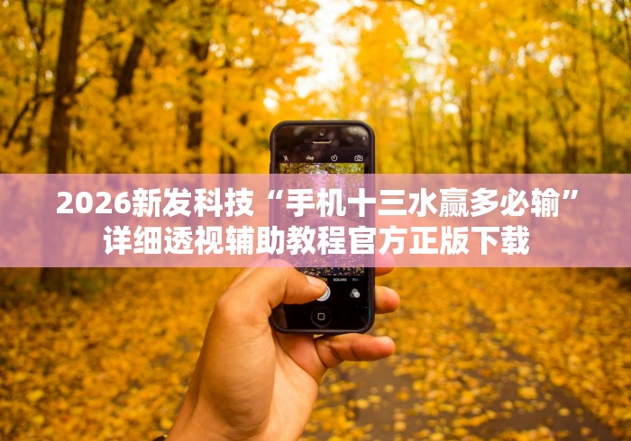 2026新发科技“手机十三水赢多必输”详细透视辅助教程官方正版下载