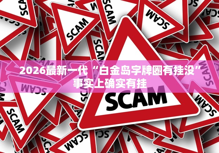 2026最新一代“白金岛字牌圈有挂没”事实上确实有挂