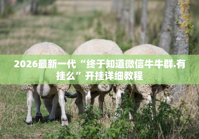 2026最新一代“终于知道微信牛牛群.有挂么”开挂详细教程