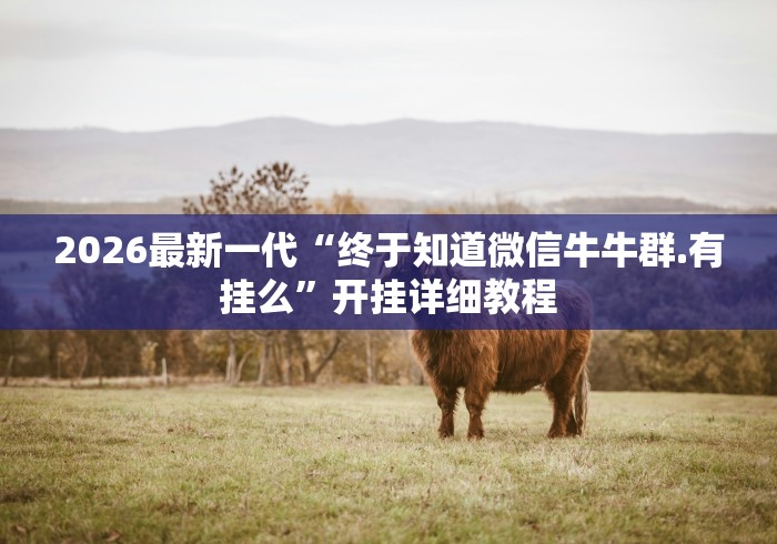 2026最新一代“终于知道微信牛牛群.有挂么”开挂详细教程