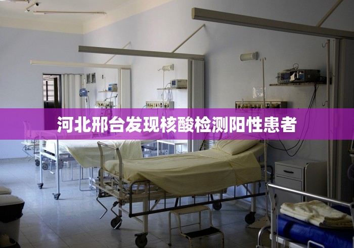 2026最新版下载“迅奇麻将万能开挂器官网最新版本介”(助赢详细开挂教程)