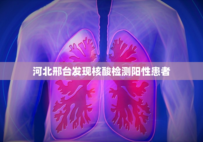 2026玩家推荐：决胜麻将怎么才能赢”详细开挂玩法