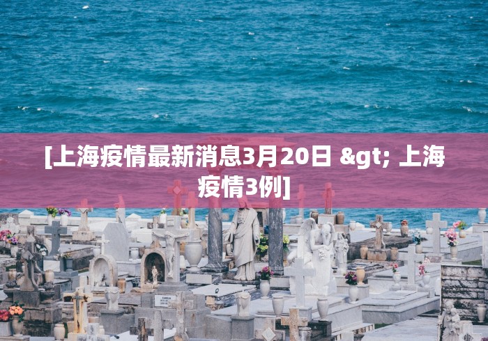 3分钟学会“炸金花外卦神器视频”必胜开挂神器