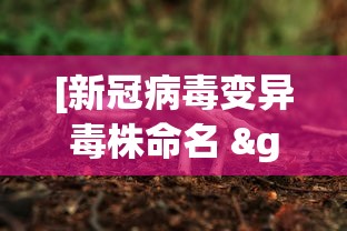 3分钟学会“夜猫麻将有挂吗”(原来确实是有插件)
