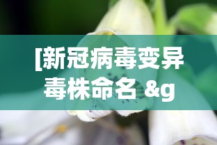 3分钟教程“微信上微乐麻将怎样免费开挂”分享用挂教程