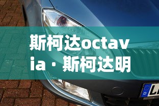 【盘点十款】“嘟嘟十三张官方免费挂”开挂辅助脚本+详细开挂