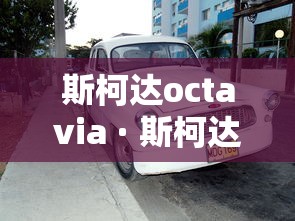[教程经验]“皮皮云南麻将开挂神器	”开挂神器{透视辅助}全揭秘