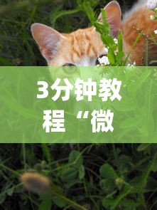 3分钟教程“微乐家乡麻将万能开挂器 代发飞机”(曝光透视必备猫腻)
