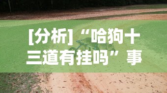 [分析]“哈狗十三道有挂吗	”事实上确实有挂