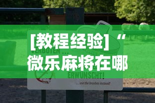 [教程经验]“微乐麻将在哪里买挂”辅助透视教程