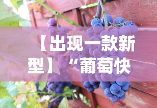 【出现一款新型】“葡萄快跑有挂吗”(详细开挂教程)