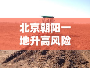 一分钟讲解“老友十三张为什么一直输”开挂辅助教程