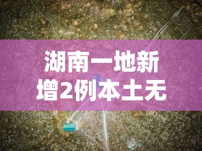 【盘点十款】“微乐麻将系统出牌规律有哪些”(透视)开挂辅助脚本+详细开挂安装教程