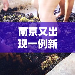 必胜技巧全攻略“微乐卡五星麻将有没有挂的	”附开挂脚本详细步骤