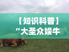 【知识科普】“大圣众娱牛牛有挂吗”(确实是有挂)知乎