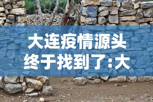 专家分析“好运大菠萝比鸡有挂吗	”详细分享装挂