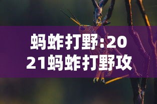 分享实测攻略“胡乐安庆麻将开挂器免费版”有挂详细开挂教程