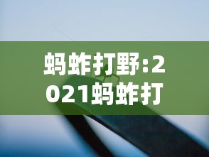 实操教程“众娱十三水怎么抓好牌	”(必胜开挂神器)