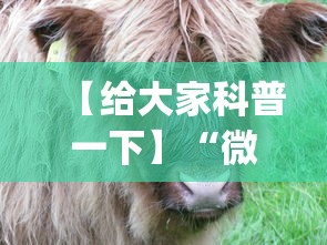 【给大家科普一下】“微信斗牛开挂神器下载安装	”开挂神器{透视辅助}全揭秘