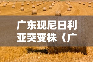 大家普及一下“情怀麻将开挂必赢神器	”(透视)开挂辅助脚本+详细开挂安装教程