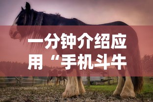 一分钟介绍应用“手机斗牛能赢钱吗”其实确实有挂