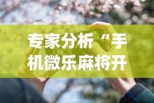 专家分析“手机微乐麻将开挂视频怎么弄”(详细透视教程)-知乎