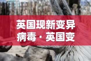 必备科技“微乐广东麻将万能开挂器”(透视)开挂辅助脚本+详细开挂安装教程