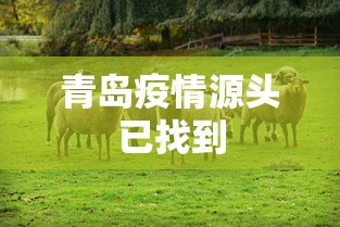 一分钟了解“微信炸 金花房卡怎么卖”房卡使用教程