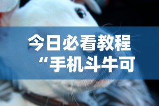 今日必看教程“手机斗牛可以作弊吗”其实确实有挂
