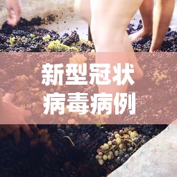 实测!“微乐免费房间怎么开挂”开挂辅助脚本+详细开挂