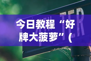 今日教程“好牌大菠萝”(透视挂)辅助透视教程