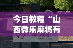 今日教程“山西微乐麻将有没有挂	”(透视)开挂详细教程