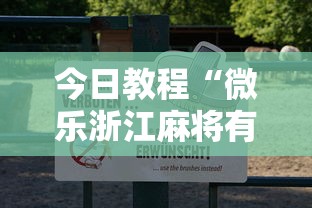 今日教程“微乐浙江麻将有挂吗”真可以装挂