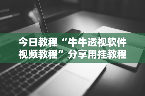 今日教程“牛牛透视软件视频教程”分享用挂教程