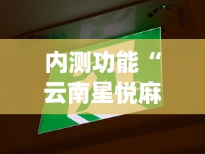 内测功能“云南星悦麻将开挂神器”(原来确实是有挂)