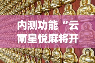 内测功能“云南星悦麻将开挂神器	”(原来确实是有挂)