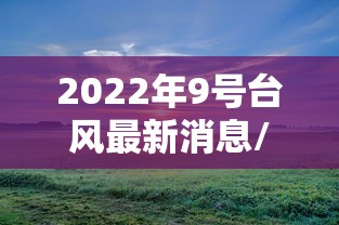 实操教程“决战十三水开挂神器	”揭秘透视辅助万能挂