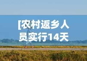 开挂辅助工具“粤麻圈作弊图片	”掌握辅助功能必胜规则