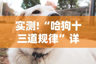 实测!“哈狗十三道规律”详细分享装挂