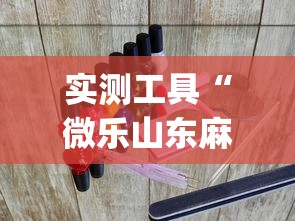 实测工具“微乐山东麻将游戏攻略秘籍	”(透视曝光猫腻)
