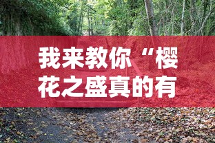 我来教你“樱花之盛真的有挂吗”确实有挂