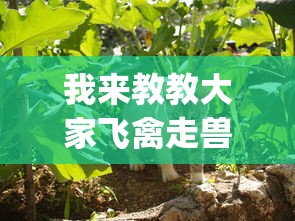 我来教教大家飞禽走兽全押稳赢打法”(曝光透视必备猫腻)